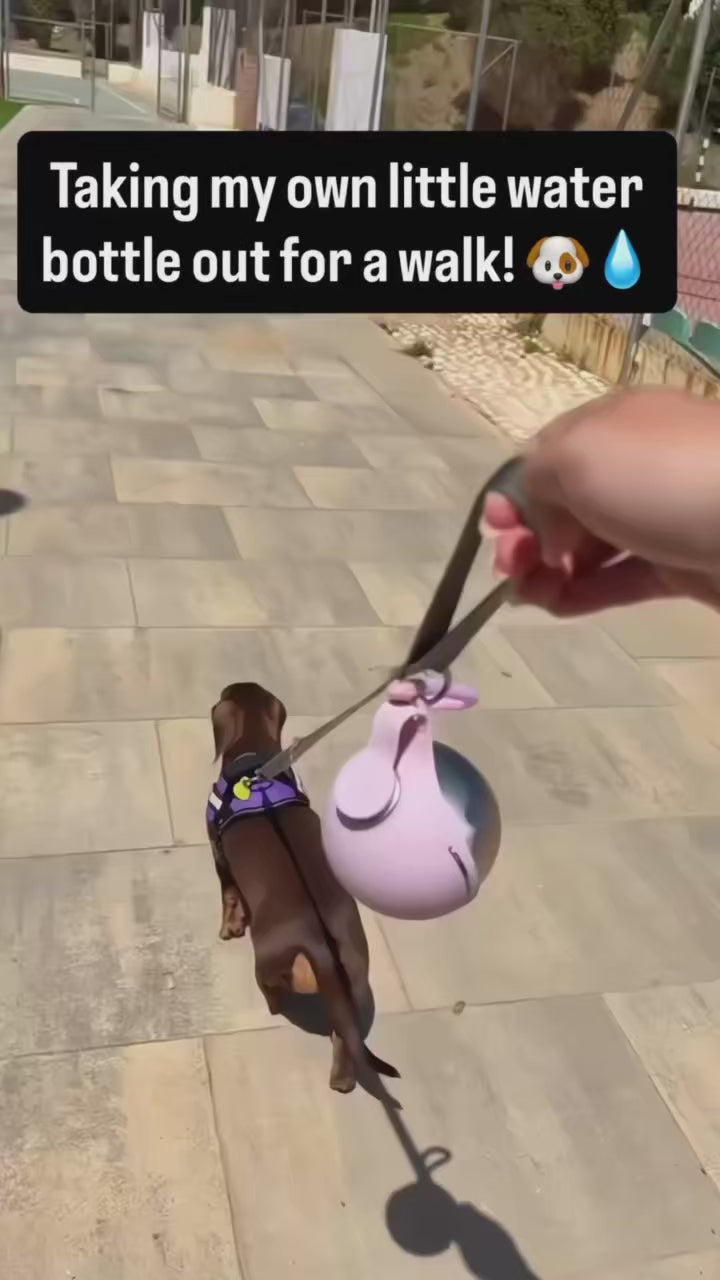 Dog Water Bottle